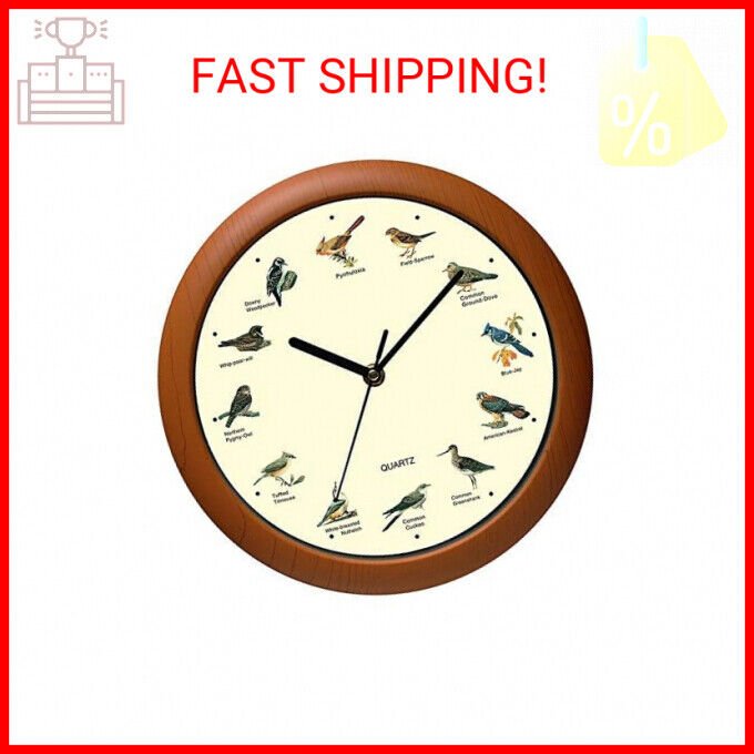Singing Bird Wall Clock 12 Inch of The Bird Names and Songs