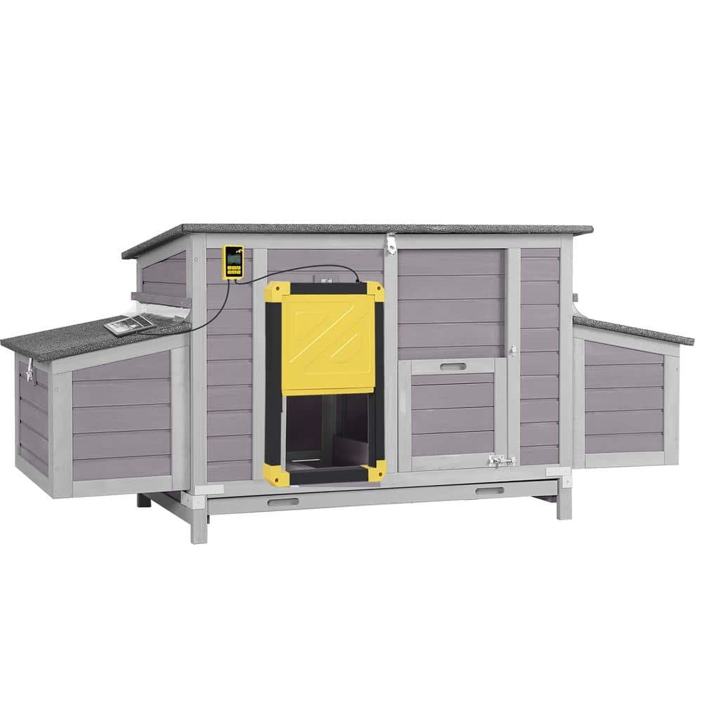 Wooden Chicken Coop for 2/4-Chickens with Automatic Chicken Door (Black Frame)