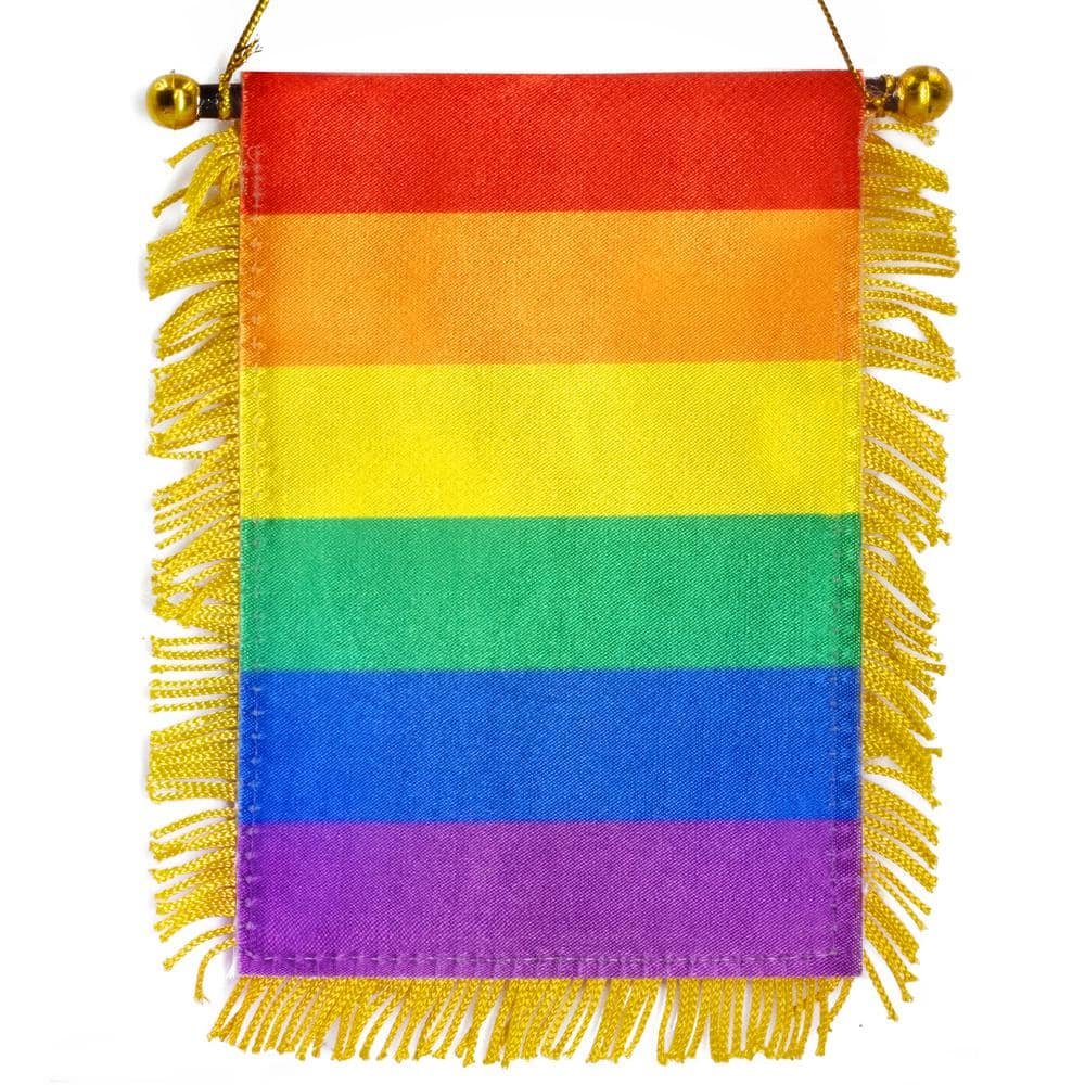 1/3 ft. x 1/2 ft. Rainbow Fringy Window Hanging Flag - Rainbow...