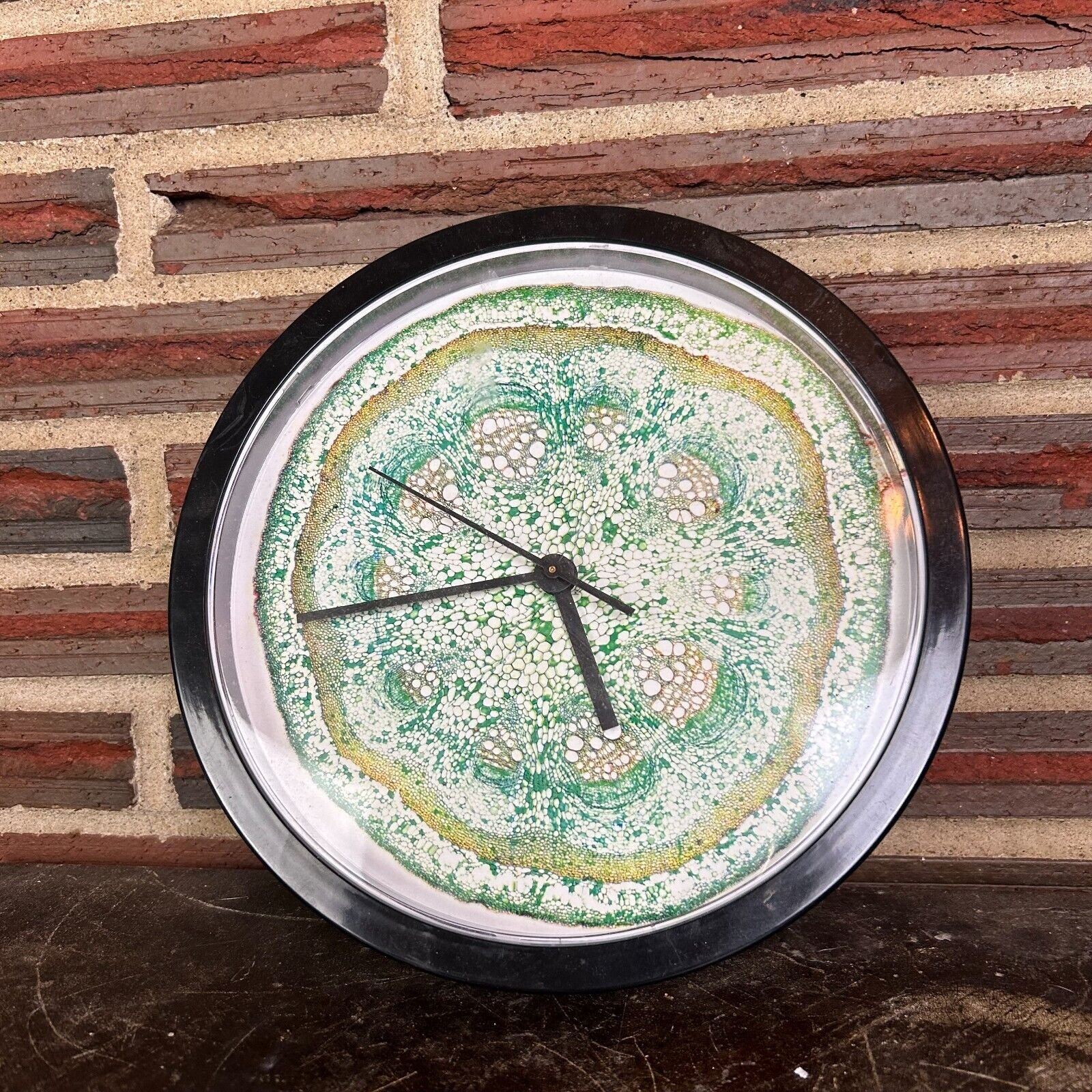 Cell Biology Science Wall Clock Round Circle Hanging Analog Black Plastic Clock