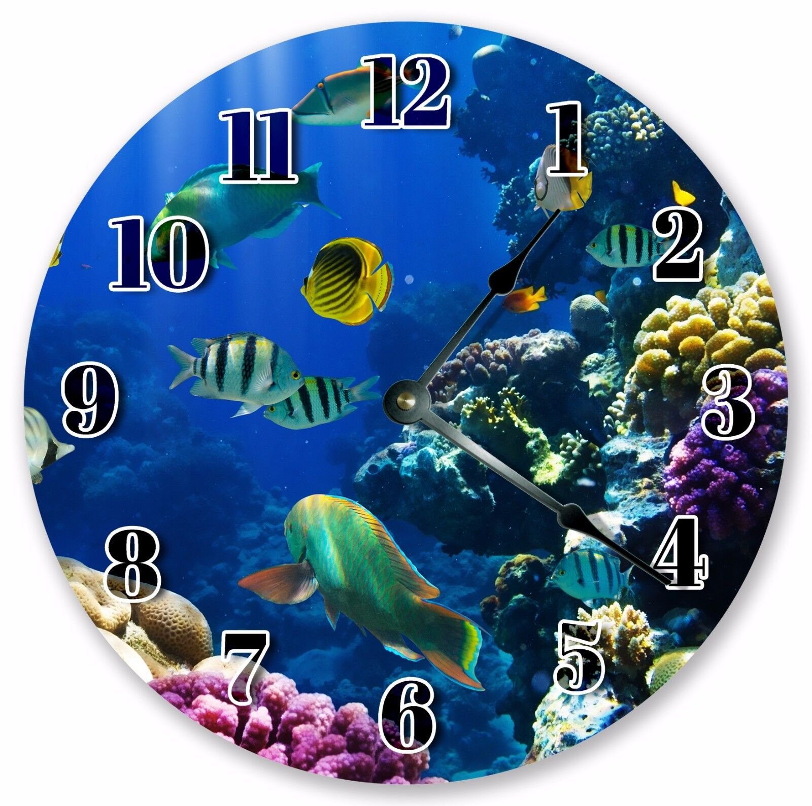 Ocean Beach House Decor Wall Clocks Blue Fun AQUATIC FISH MARINE LIFE CLOCK 3138
