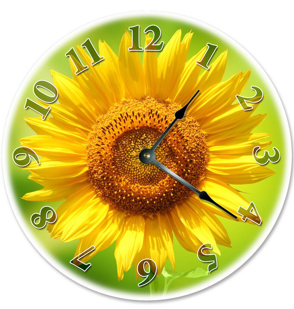12" BRIGHT YELLOW SUNFLOWER CLOCK - Large 12 inch Wall Clock - Printed Decal