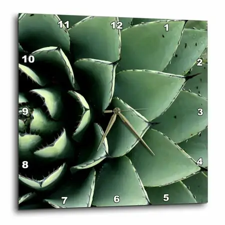 3 d Rose Agave cactus succulent, Santa Fe, New Mexico US 32 JMR 0454 Julien Mc Roberts Wall Clock