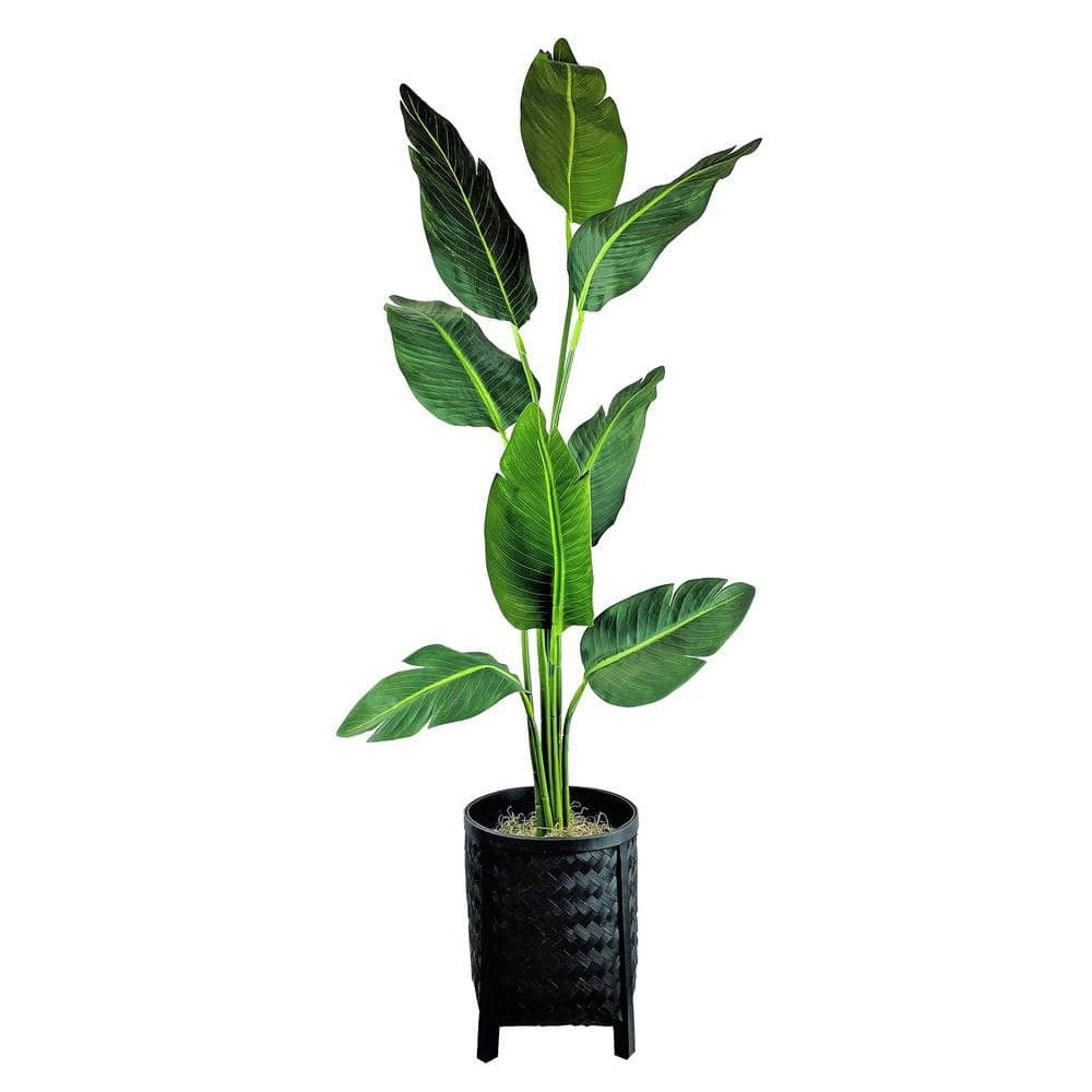 5 ft. Artificial Bird of Paradise in Black Woven Footed Basket