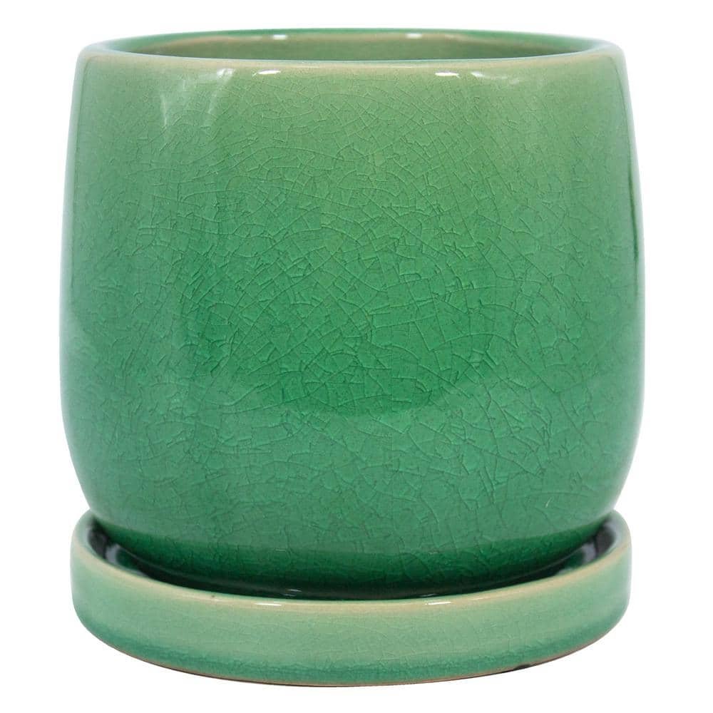 6 in. Mint Oceana Ceramic Planter