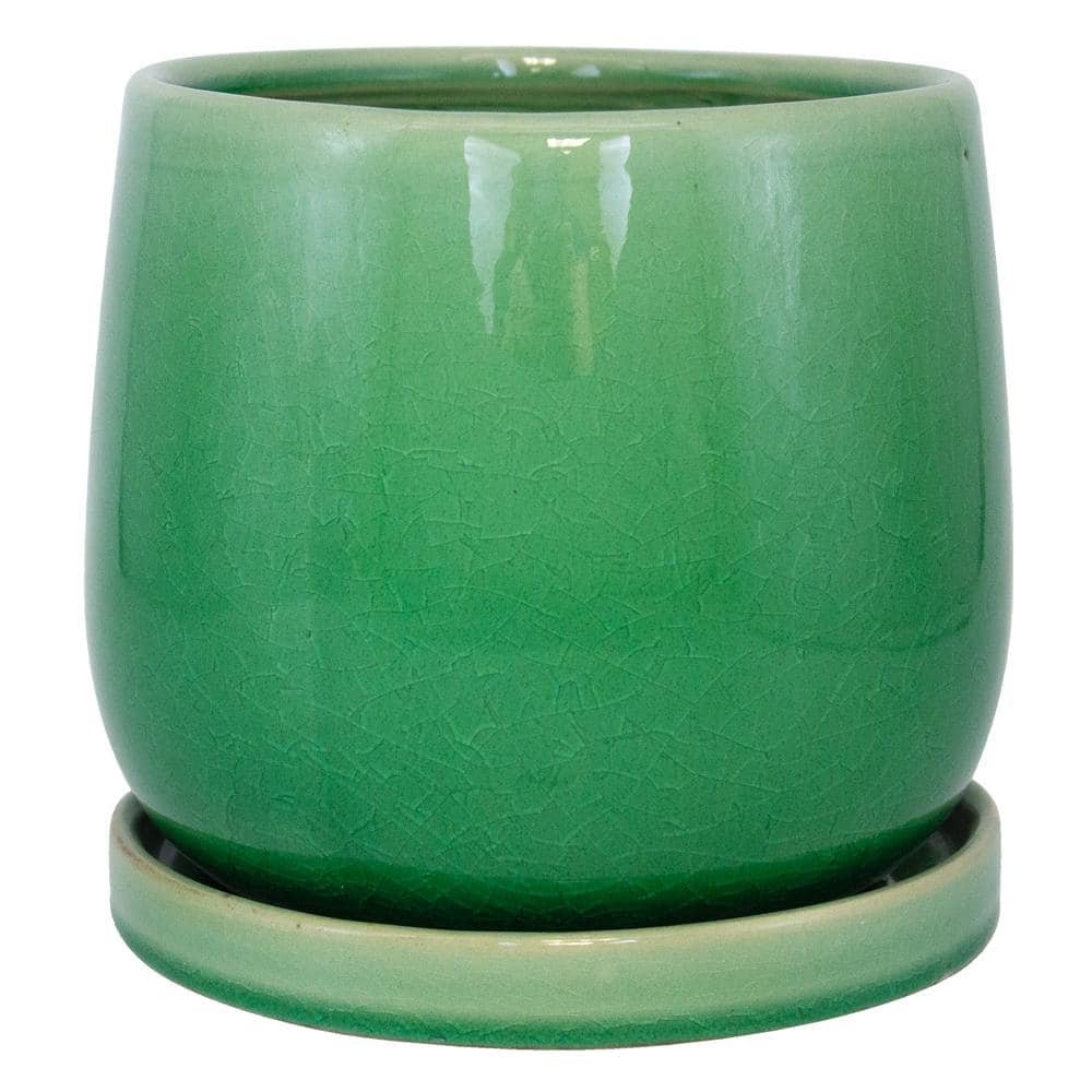 8 in. Mint Oceana Ceramic Planter