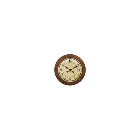 Chaney Instrument Analog Wall Clock photo