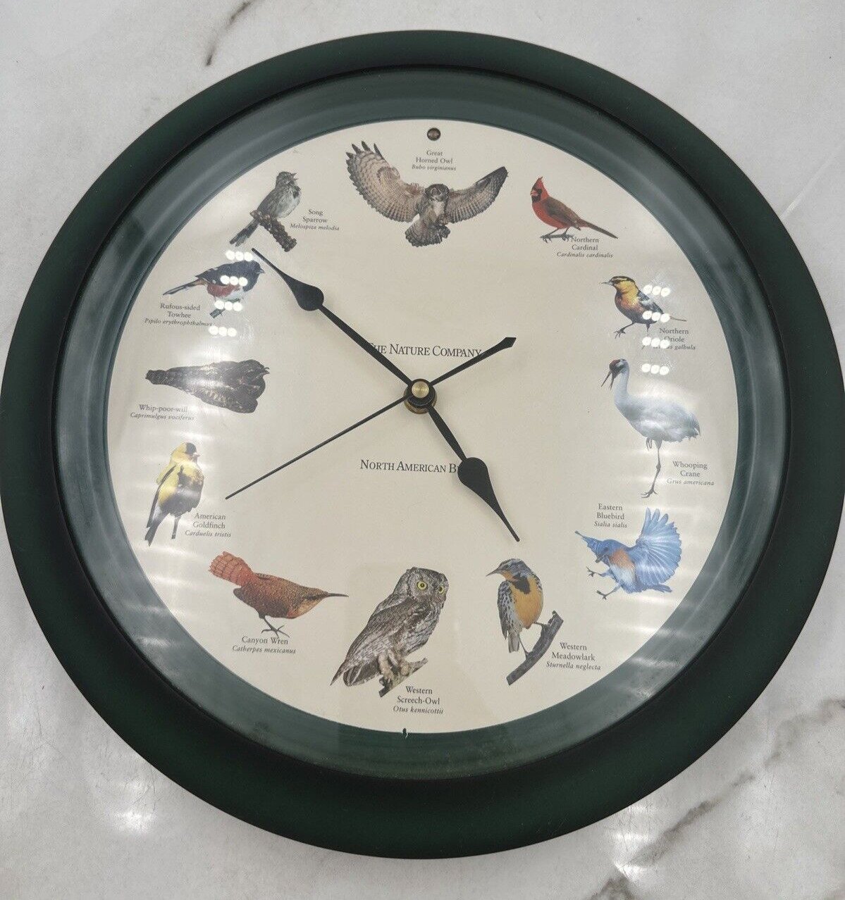 National Audubon Society Quartz Singing Bird Analog Wall Clock Green 13” Works!