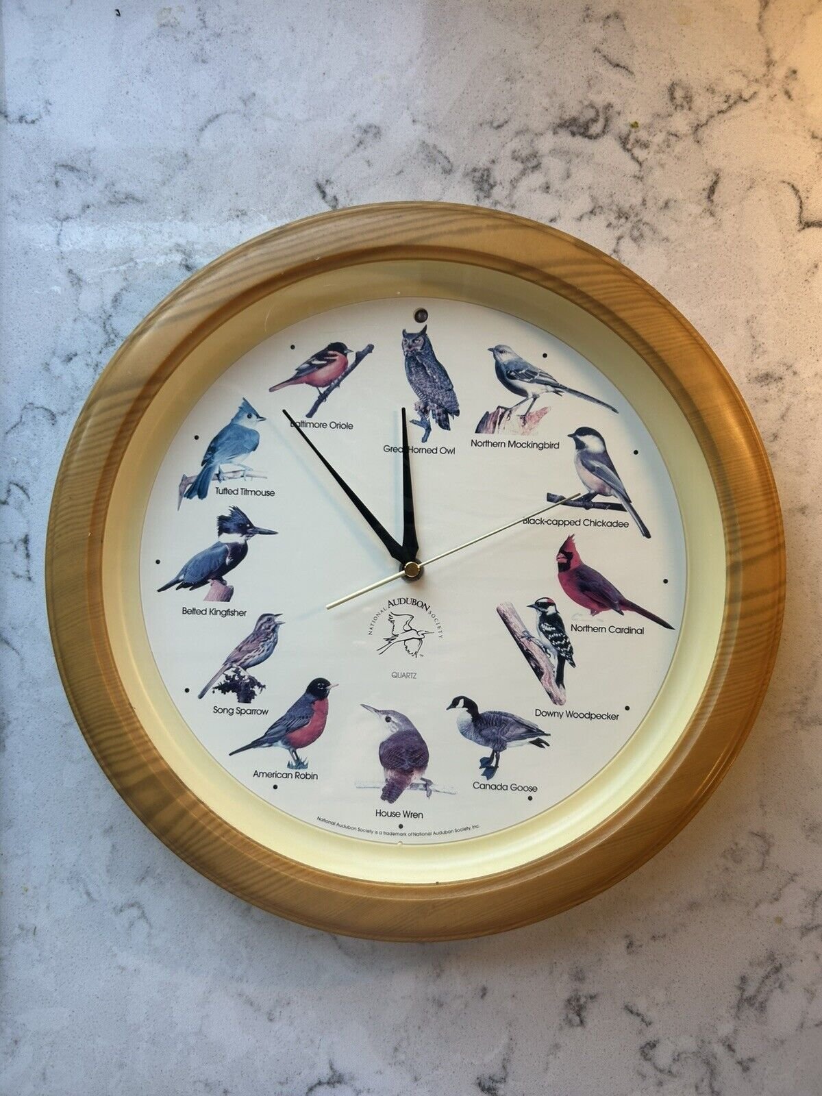 National Audubon Society Quartz Singing Bird Wall Clock Faux Wood Tested & Works