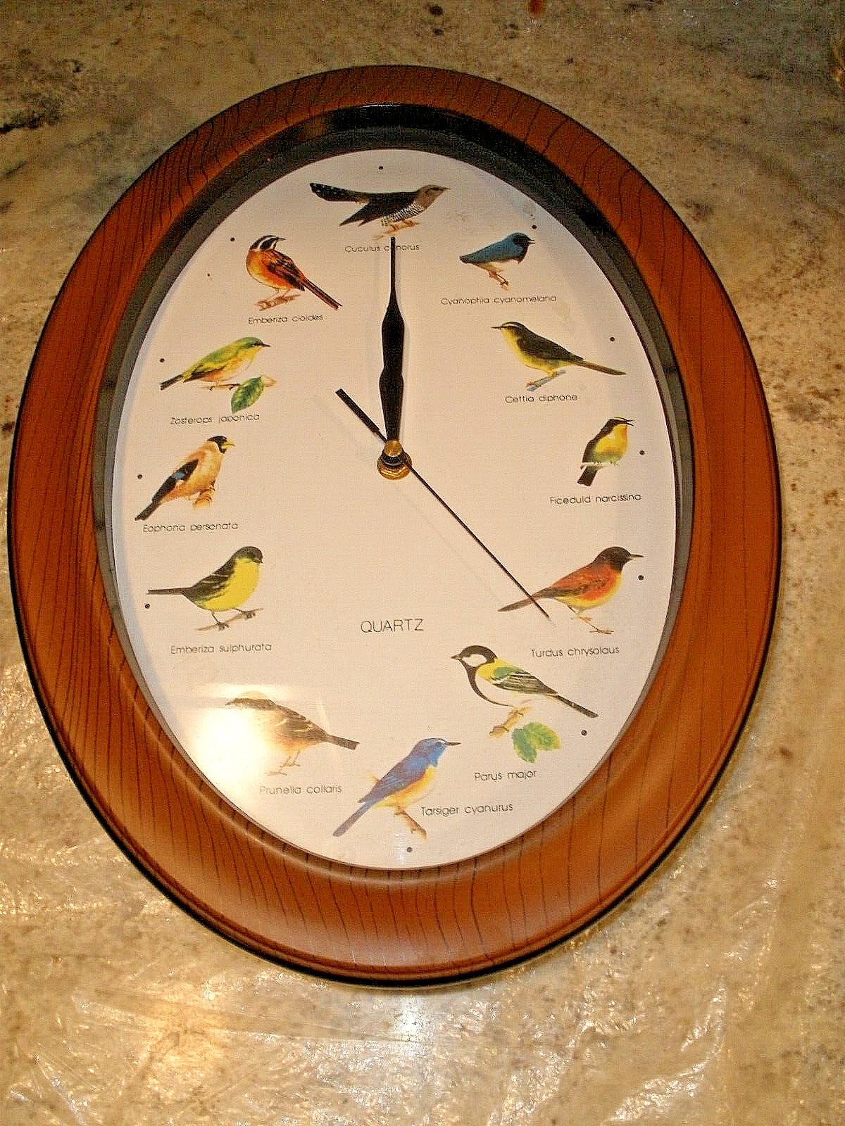OVAL QUARTZ BIRD CLOCK WALL MOUNT BIRD SINGING & TIME WORKS