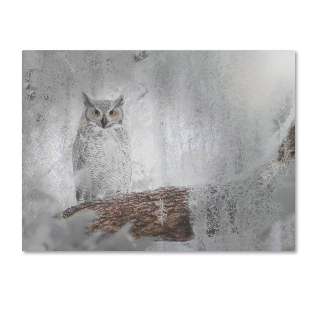 Owl Dreams by Patty Tuggle 24 in. x 32 in.