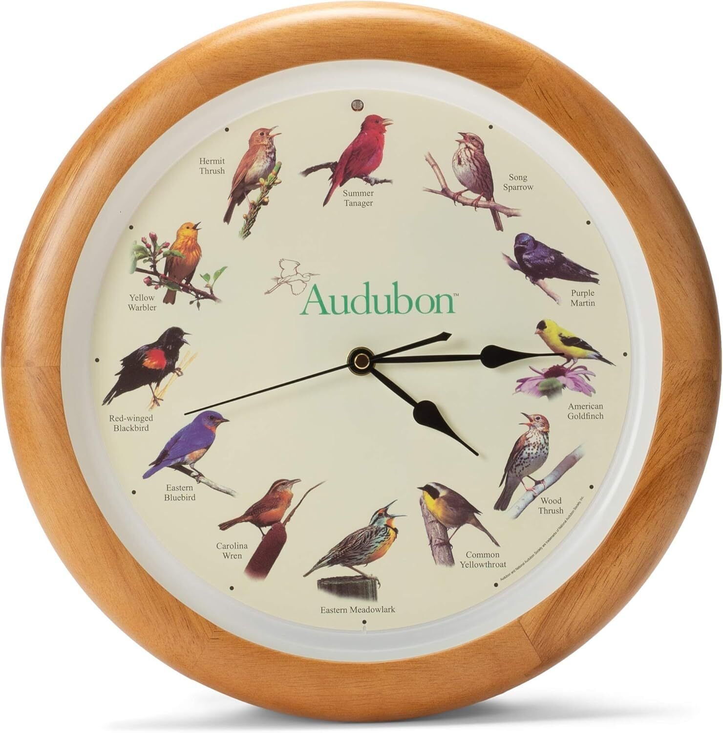 Singing Bird Wall Clock, Oak Wood Frame 13 Inch--New free freight