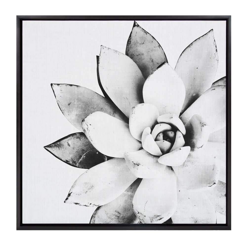 Sylvie "Modern Succulent" by Tai Prints Framed Canvas Wall Art