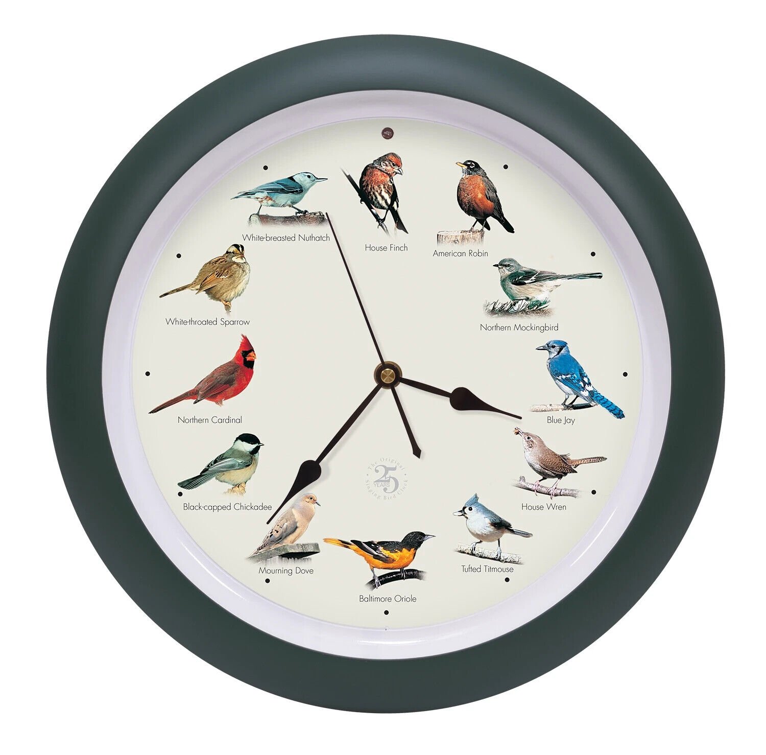 The Original Singing Bird Hanging Wall Sound Clock, 13 Inch, Green, 25th Edition