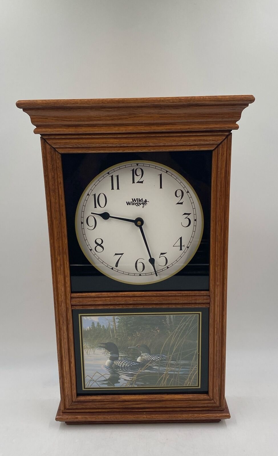 Wild Wings Multicolor Wooden Glass Analog Display Rectangular Duck Wall Clock