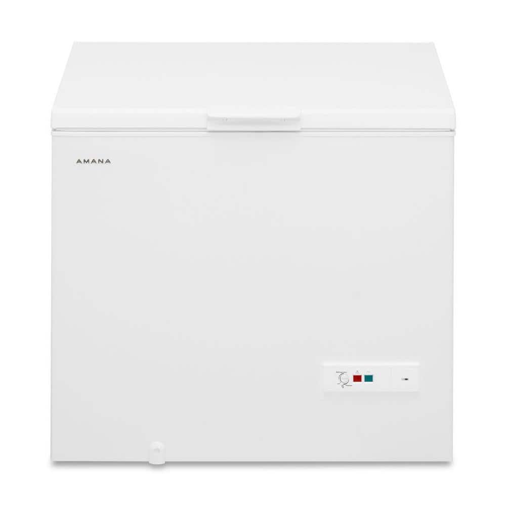 9 cu. ft. Chest Freezer in White
