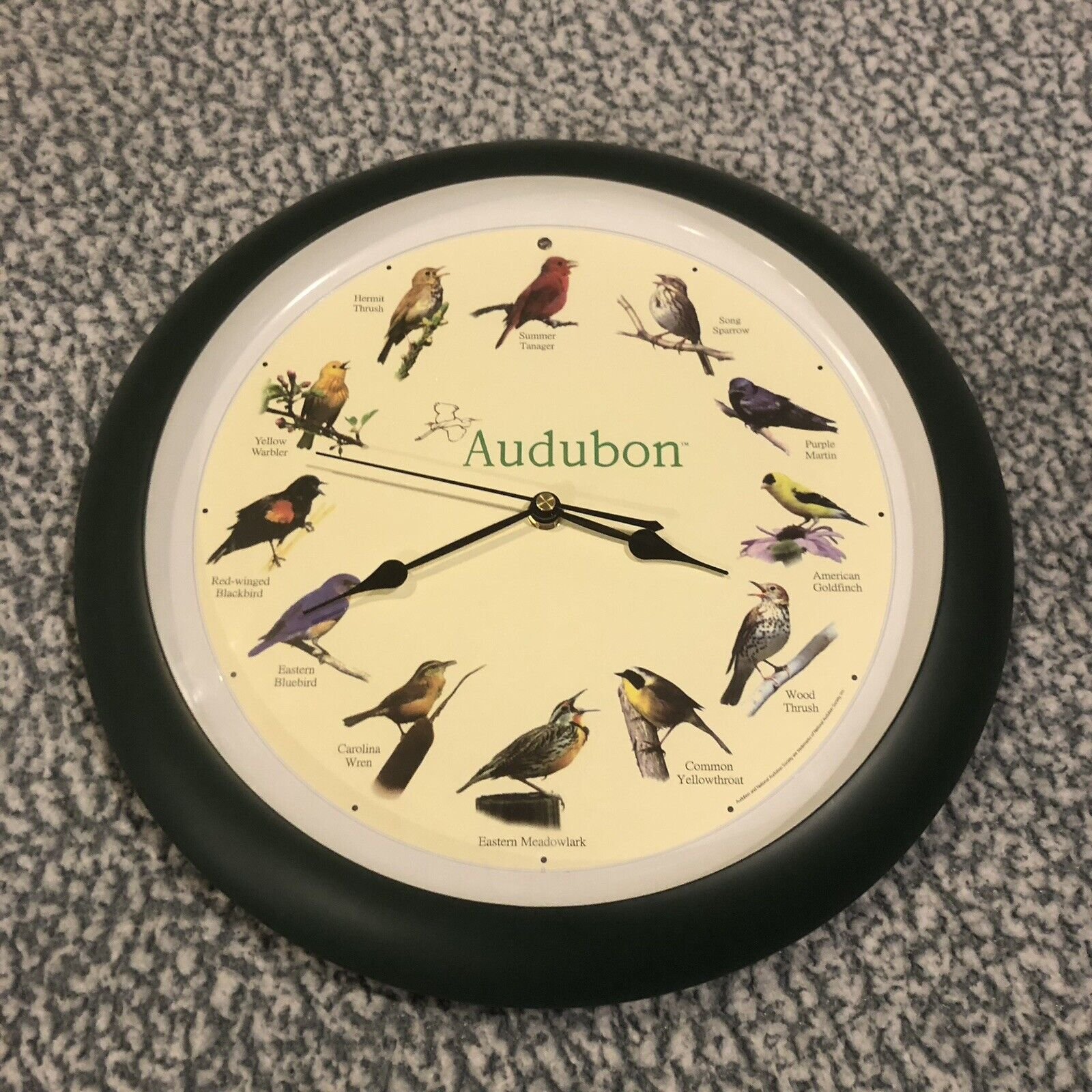 National Audubon Society Quartz Singing Bird Analog Wall Clock Green 13” Works!