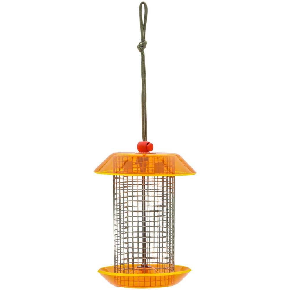 Small Sunflower Seed Feeder Color Pop Collection in Light Green and Orange
