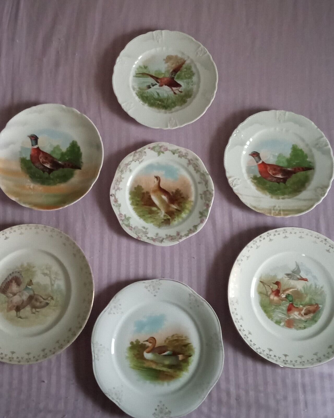 7 Vintage Game Bird Plates Germany Ducks, Turkeys, Quail, Pheasants Luster Gold