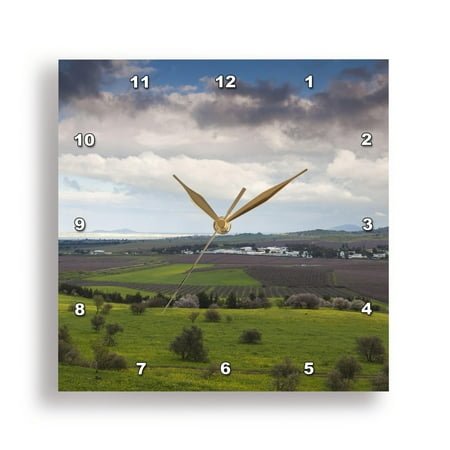 3dRose, Israel, Golan Heights, MItzpe Quneitra, Farms-AS14 WBI0377 - Walter Bibikow, 15x15 Wall Clock
