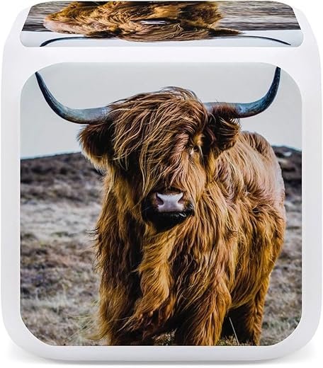 Donnapink Earth-Yellow Scottish Highland Cow Vintage Style 7 Color LED Change Digital Glowing Alarm Clock, LED Cube Night Light Clock, Wake Up Bedside Clock for Bedroom Home Office