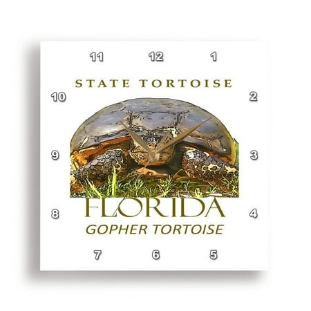 3dRose, Florida Territory Gopher Tortoise Design, 10x10 Wall Clock