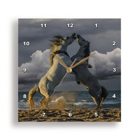 3dRose, France, Saintes-Maries-de-la-Mer. White Camargue stallions fighting, 15x15 Wall Clock