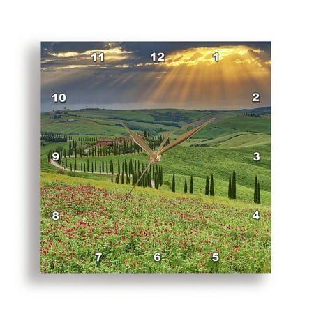 3dRose, Italy, Tuscany, Asciano. Crete Senesi winding cypress road., 13x13 Wall Clock