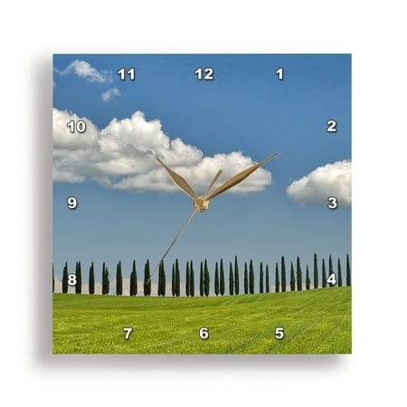 3dRose, Italy, Tuscany. View of long rows of cypress trees, 10x10 Wall Clock