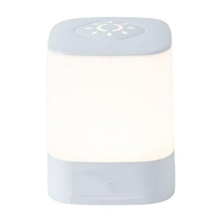 Sunrise Clock Wake Up Light, Alarm Clock for Kids, Radio, Heavy Sleepers for Bedroom, Nightlight, Natural Sound Bedside USB Charging, Gift
