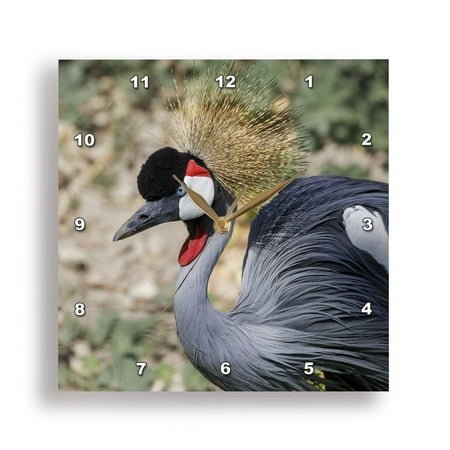 3dRose, , Arizona, Wildlife World Zoo. Close-up of grey-crowned crane., 15x15 Wall Clock