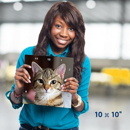 3dRose, Hello Kitty - animal, moggie, tabbies, tabby cat, cat, cats, cute, 10x10 Wall Clock