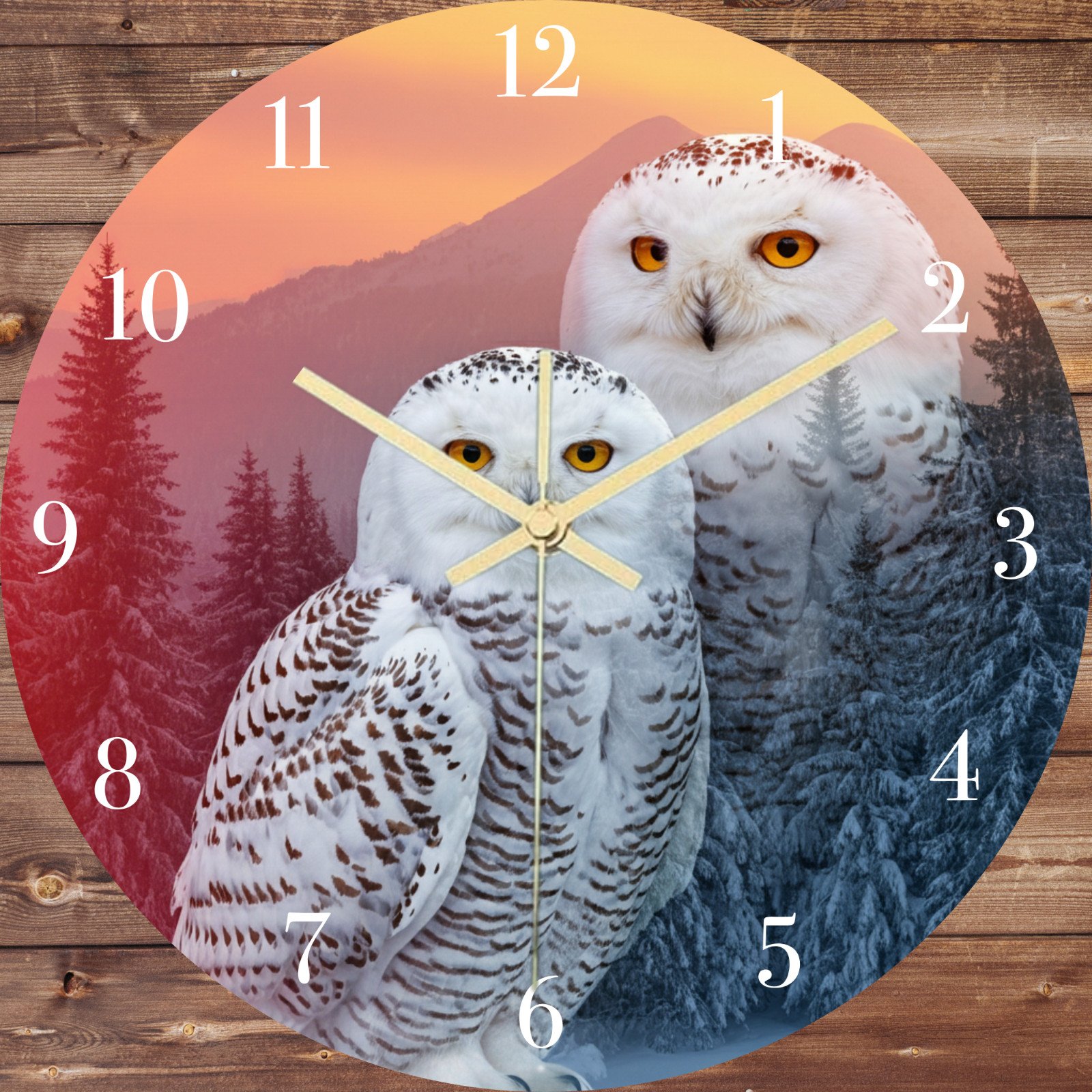 10 inch 12 Hour Beautiful Colorful Owl and Bird Clocks Pick A Design Home Decor