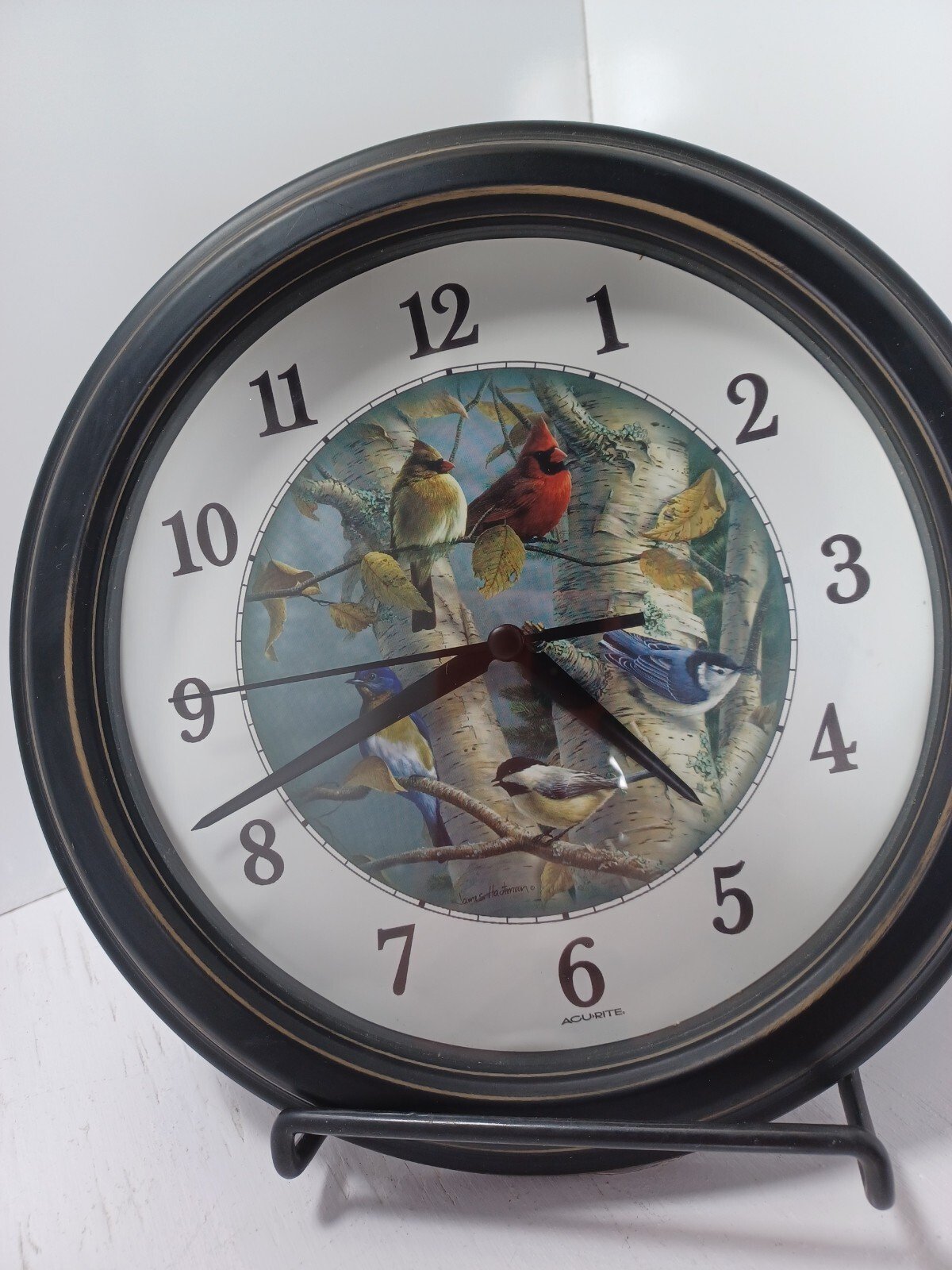 Bird Wall Clock
