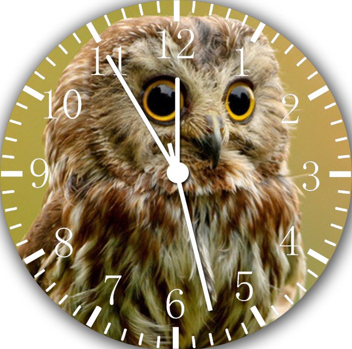 Cute Owl Frameless Borderless Wall Clock Nice For Gifts or Decor E236