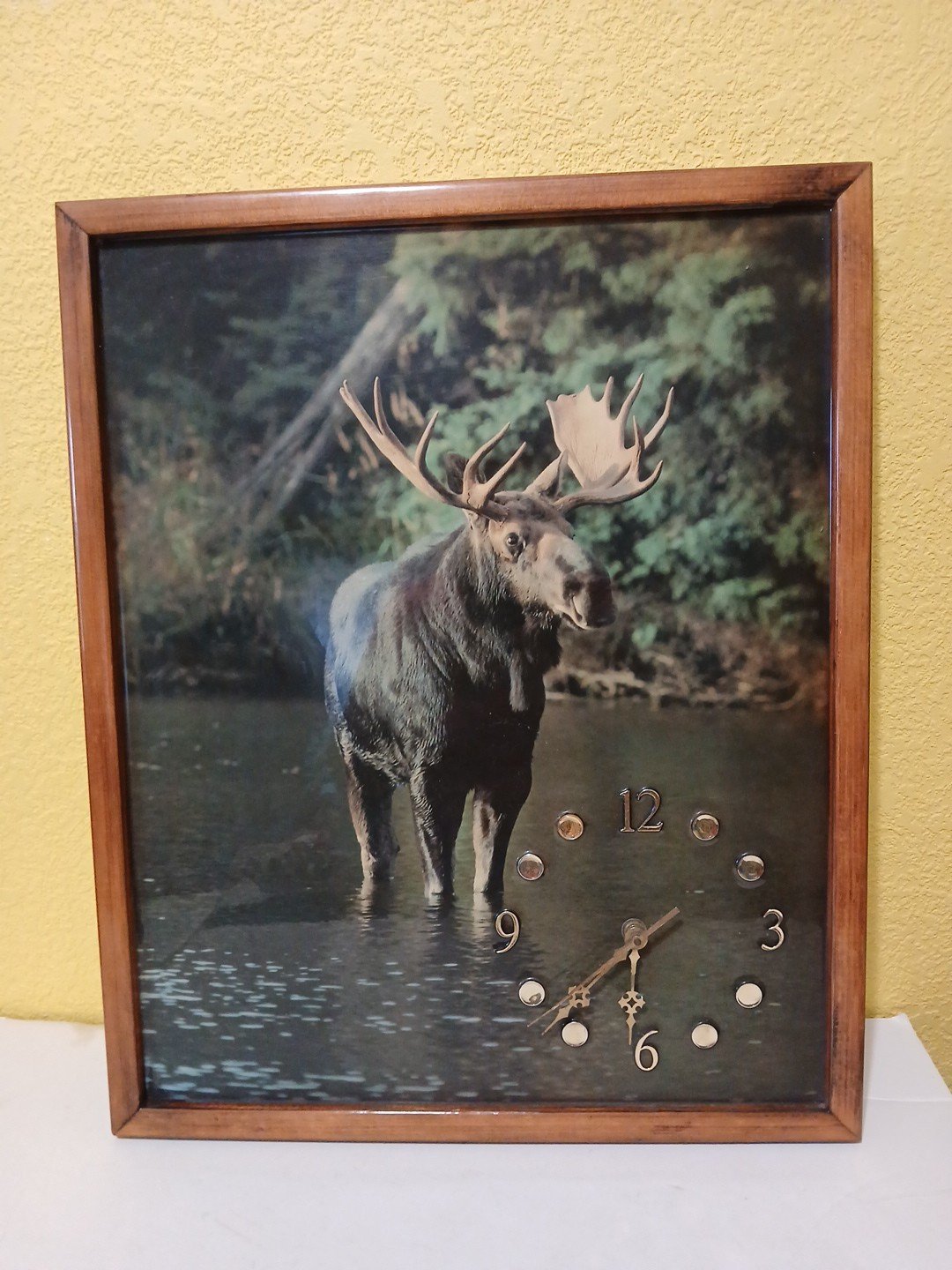 Wildlife Moose Wall Clock 17 X 21 Battery Operated Tested Works Great photo Wildlife Moose Wall Clock 17 X 21 Battery Operated Tested Works Great featured image