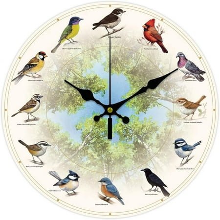 12 Different Bird Wall Clock 12 Inch Battery Operated Wall Clocks Forests Non Ticking Silent Clock Decorative Clocks for Living Room Office Bedroom Home Decor