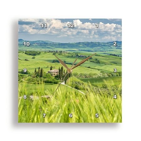 3dRose, Italy, Tuscany. Belvedere Farmhouse in the Val di Orcia Valley, 10x10 Wall Clock