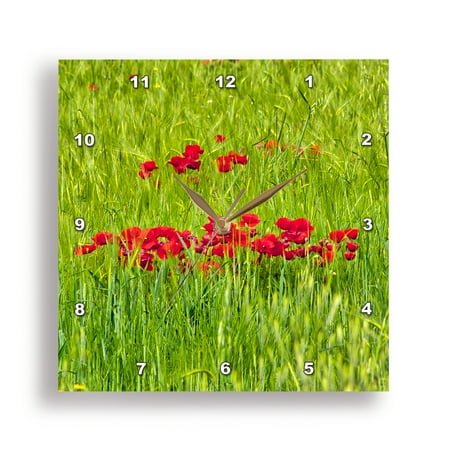 3dRose, Italy, Umbria, Assisi. Spring poppies in wheat field, 13x13 Wall Clock