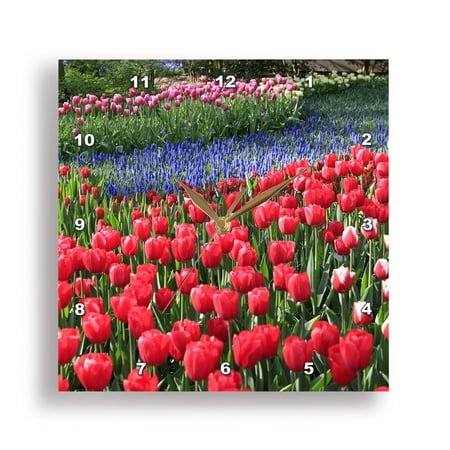 3dRose, Netherlands, Zuid Holland, Lisse. Blooming tulips., 10x10 Wall Clock