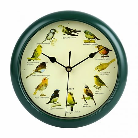 DESIGNICE 10.24 Quartz Singing Bird Indoor Wall Clock, Easy Installation
