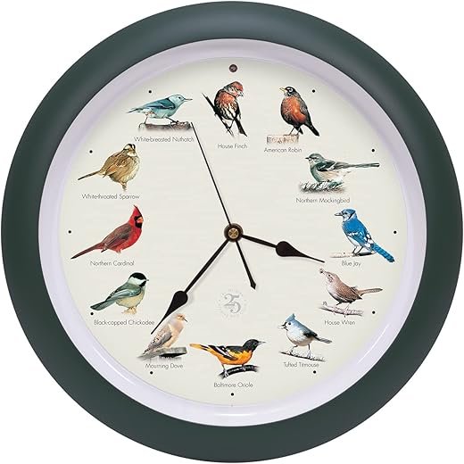 Mark Feldstein, The Original Singing Bird Clock, 25th Anniversary Edition, 13 Inch, Green