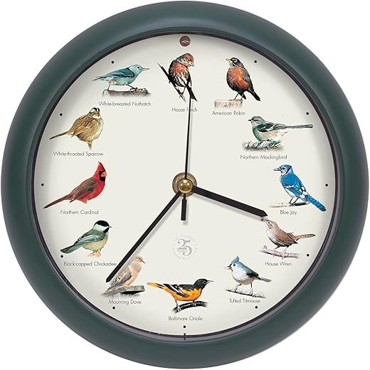 Mark Feldstein, The Original Singing Bird Clock, 25th Anniversary Edition, 8 Inch, Green