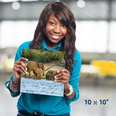 3dRose, African Elephant, Chobe National Park, Botswana - AF05 MGL0003 - Miva Stock, 10x10 Wall Clock