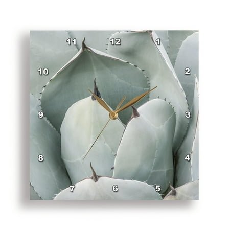 3dRose, Arizona, Phoenix. Desert Botanical Garden, artichoke agave, 10x10 Wall Clock