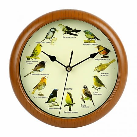 DESIGNICE 10 Inch Quartz Singing Bird Wall Clock with Bird Names and Songs, Easy Installation, Customizable Sound Settings, Wood Color, Battery Operated, Silent Movement