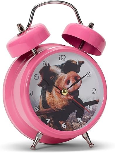 Best Animal Sounds Alarm Clocks