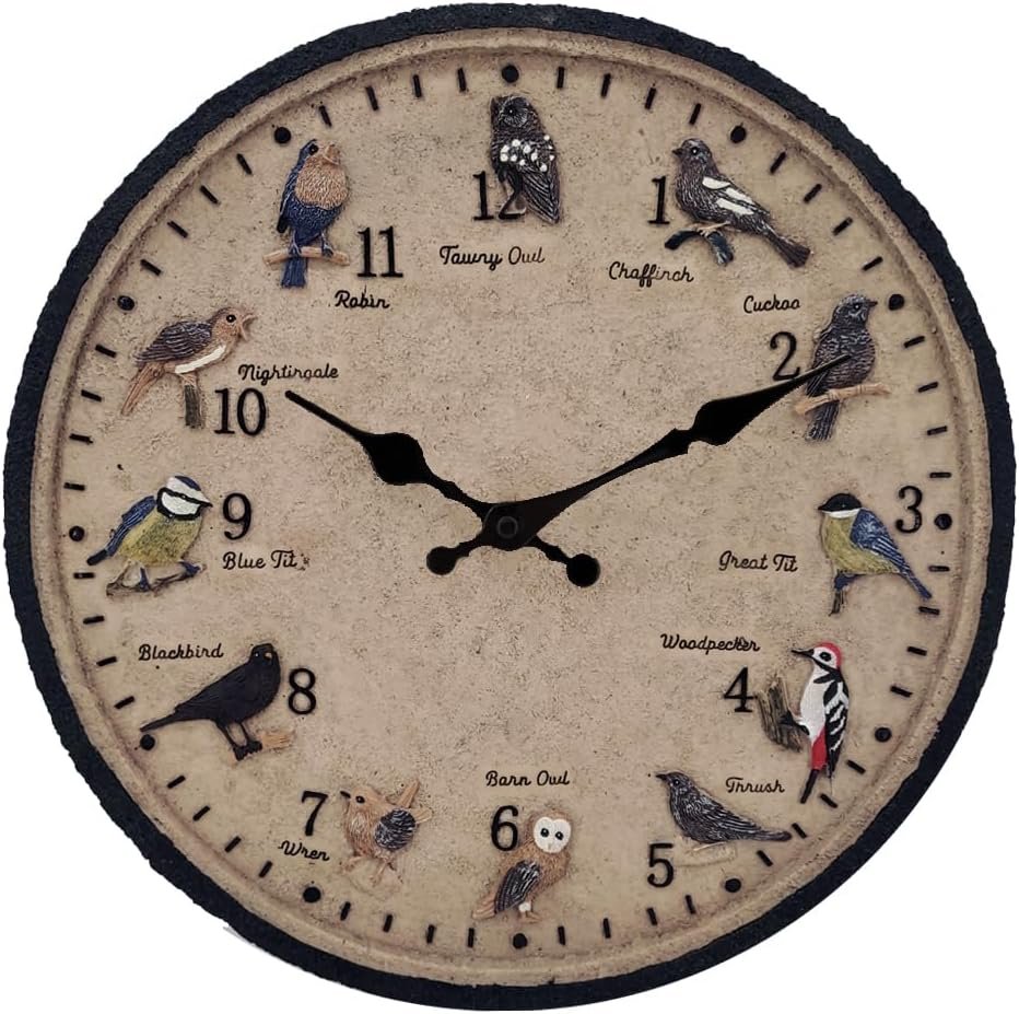 Outdoor Wall Clock for Garden, Patio and Deck, Decorative Birds Wall Clock, 12in Garden Clock Waterproof Clocks -Not Silent (12 Birds)
