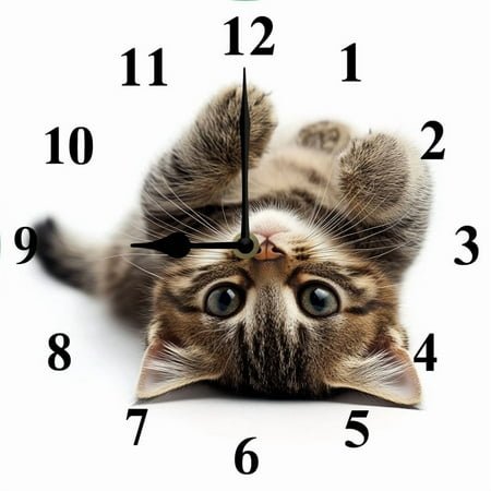 Soliyoahee Clocks for Living Room Funny Cats 10inch Wall Clock Cute Animals Small Battery Operated Wall Clocks Decorative for Kitchen Living Room Bedroom Bathroom Dining Room