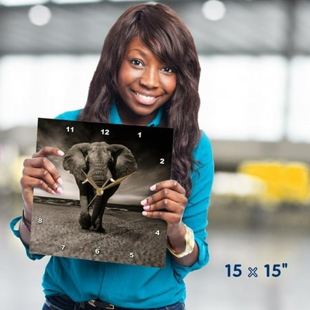 3dRose, African Wildlife Elephant Mammal Zoo Jungle, 15x15 Wall Clock